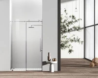 Shower Door8971354
