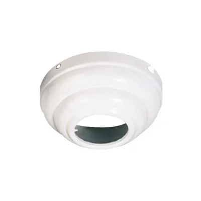Slope Ceiling Adapter2998064