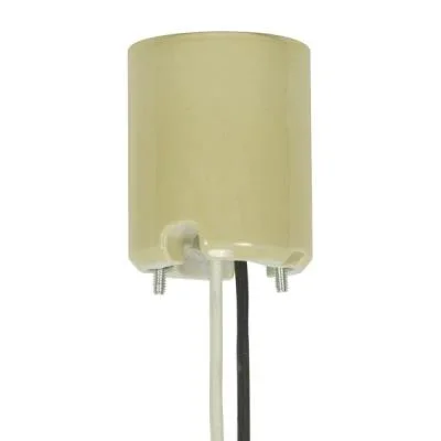 Socket4437772