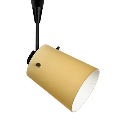 Spotlight8016336