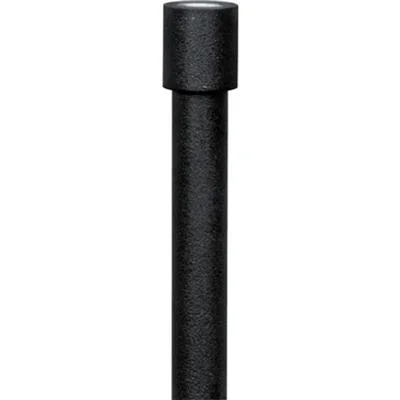 Stem140869