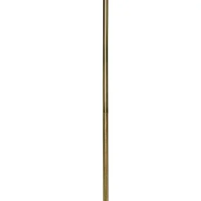 Stem3126104
