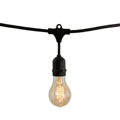 String Light007723