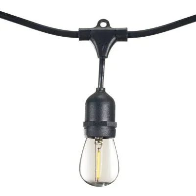 String Light3440960