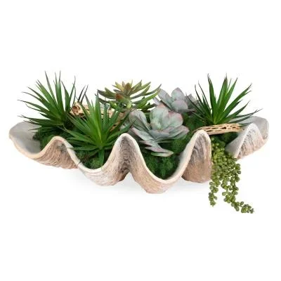 Succulents2974717