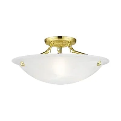 Three Light Ceiling Mount558079