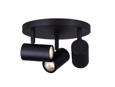 Three Light Ceiling/Wall Mount4013351