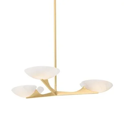 Three Light Chandelier2951136