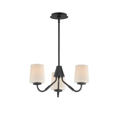 Three Light Chandelier8131193
