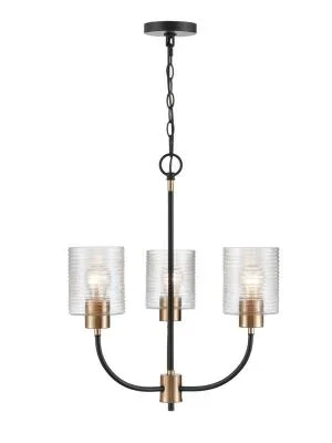 Three Light Chandelier8571403