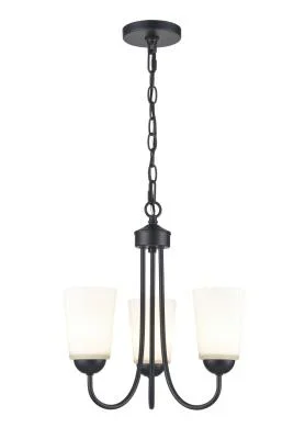 Three Light Chandelier9936337