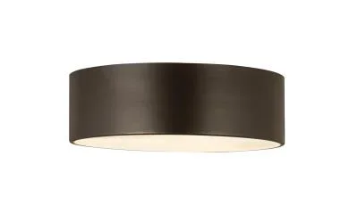 Three Light Flush Mount9968554
