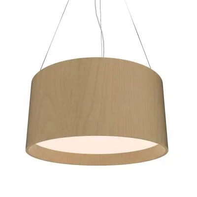 Three Light Pendant2528707