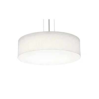 Three Light Pendant2629930