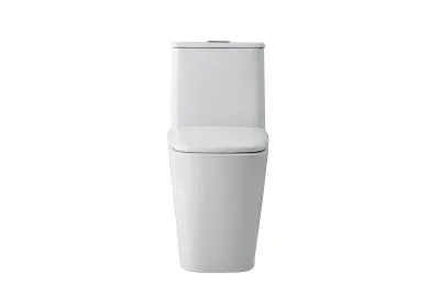 Toilet4695483