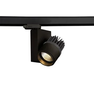 Track Head2437763