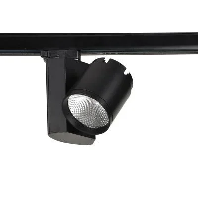 Track Head3712697