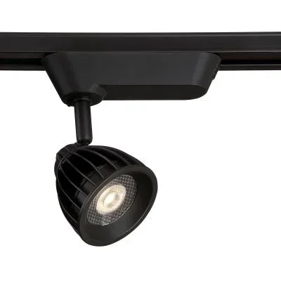 Track Head6391457