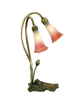 Two Light Accent Lamp274247