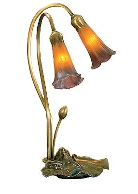 Two Light Accent Lamp849253