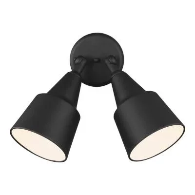 Two Light Adjustable Swivel Flood Light6437244