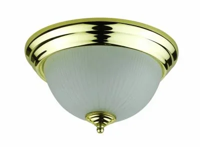 Two Light Ceiling Mount080295