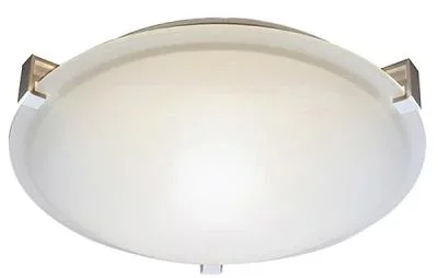 Two Light Ceiling Mount2255197