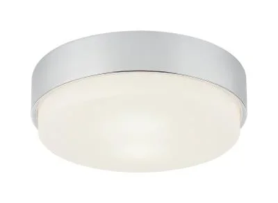 Two Light Ceiling Mount2598340