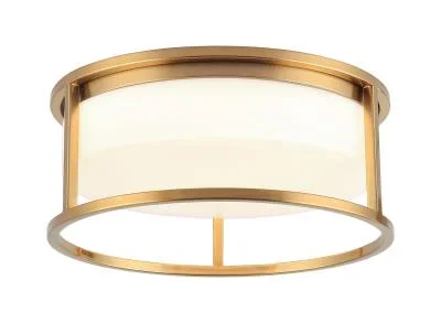 Two Light Ceiling Mount6305703