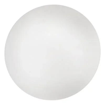 Two Light Ceiling Mount632190
