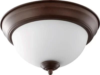 Two Light Ceiling Mount738650