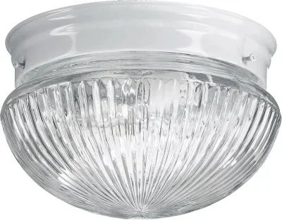 Two Light Ceiling Mount814989