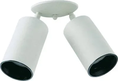 Two Light Ceiling Mount814999