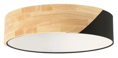 Two Light Ceiling Mount8884957