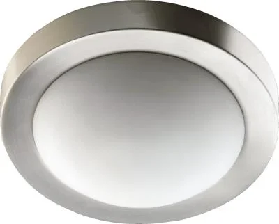 Two Light Ceiling Mount889499