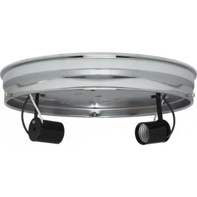 Two Light Ceiling Pan2196619