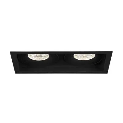 Two Light Downlight2100071