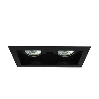 Two Light Downlight2513034