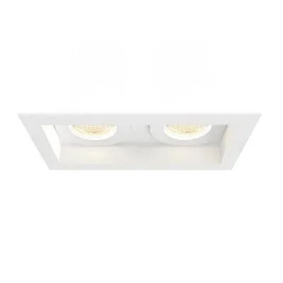 Two Light Downlight8230509