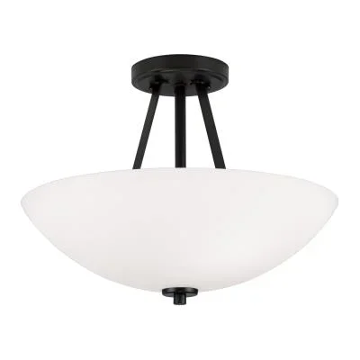 Two Light Dual Mount Semi Flush/Pendant8607507