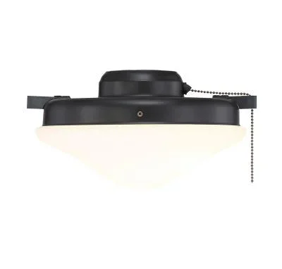 Two Light Fan Light Kit515453