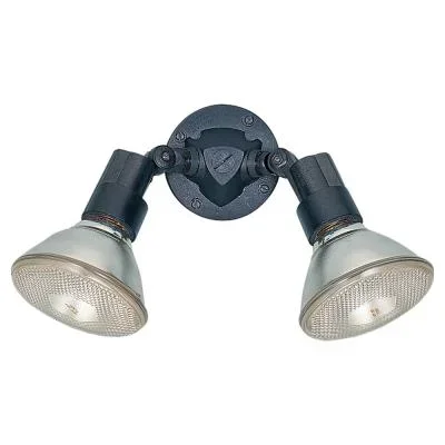 Two Light Flood Light295999