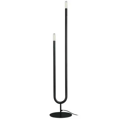 Two Light Floor Lamp4670425