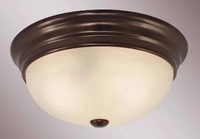 Two Light Flush Ceiling Mount592081
