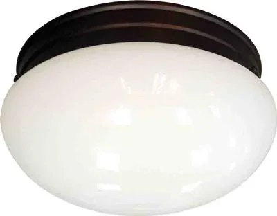 Two Light Flush Ceiling Mount724538
