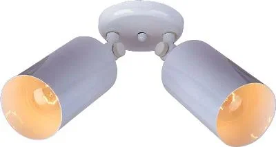 Two Light Flush Mount034357