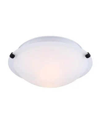 Two Light Flush Mount2205569