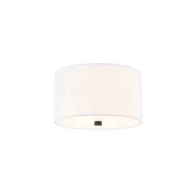Two Light Flush-Mount2410013