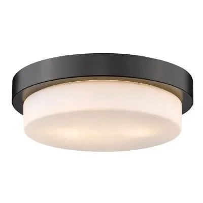 Two Light Flush Mount2469578
