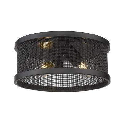 Two Light Flush Mount2483325